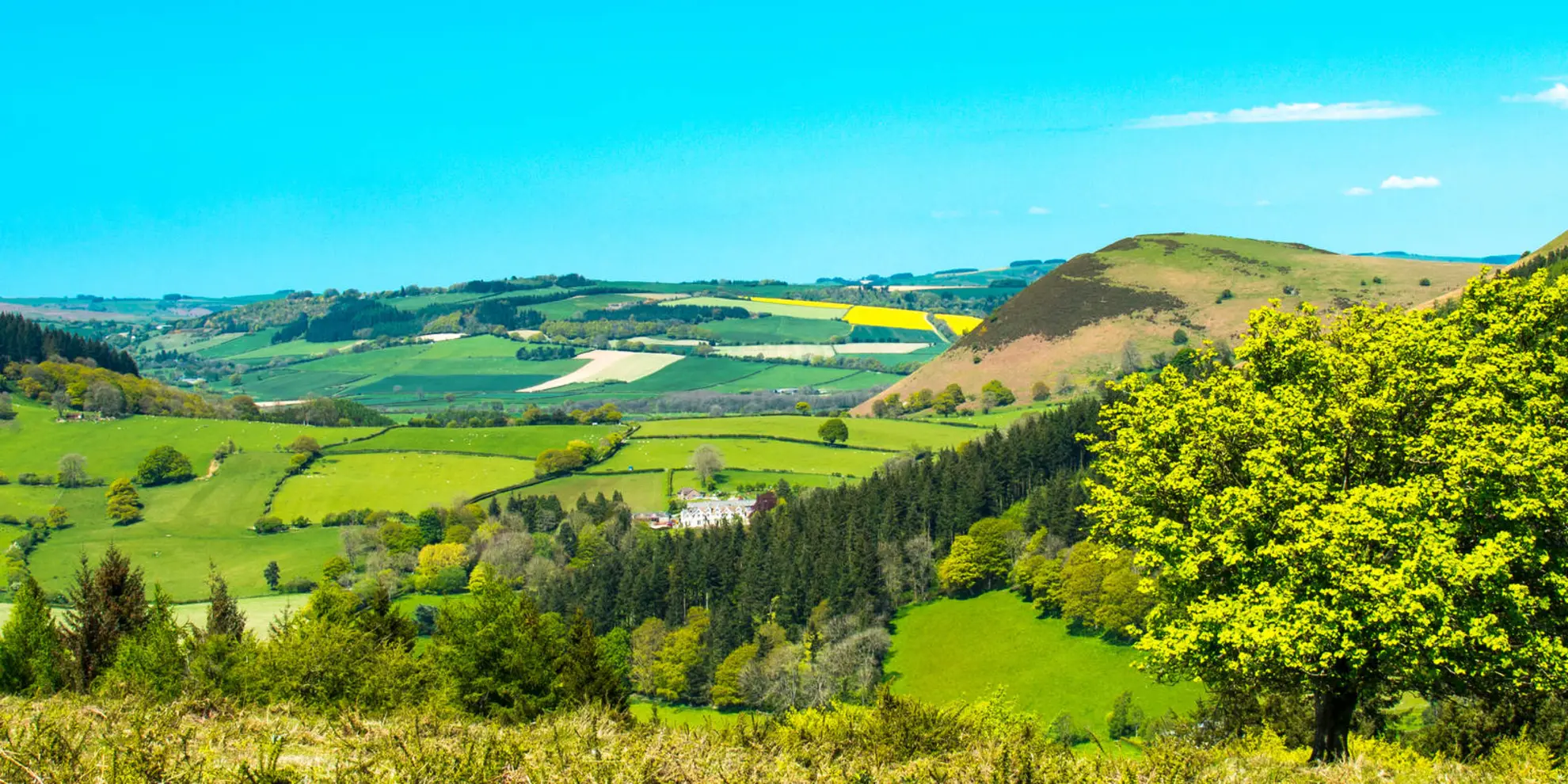 An image depicting the trail The Hergest Ridge and Huntington from Kington and its surrounding area.
