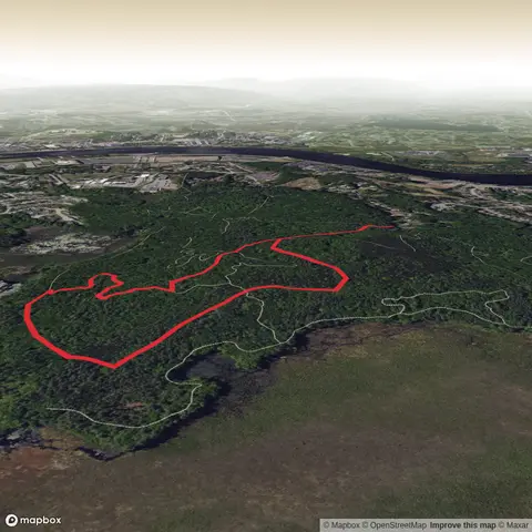 Lowell Dracut State Forest Loop