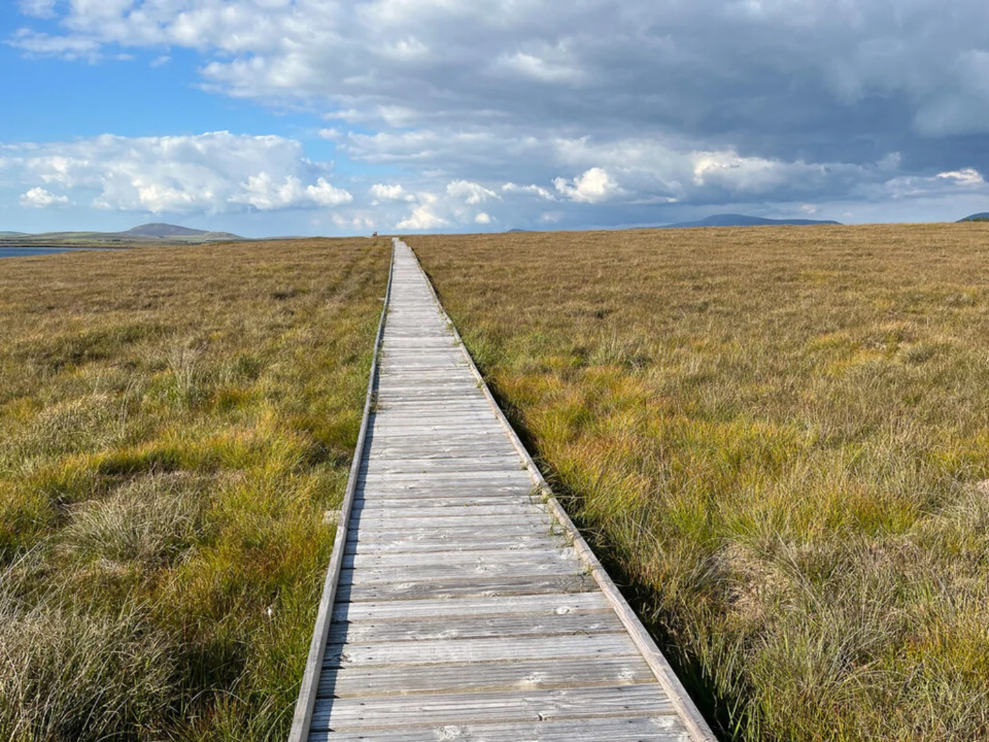 An image depicting the trail Claggan Mountain NE and Maumthomas SW Loop and its surrounding area.