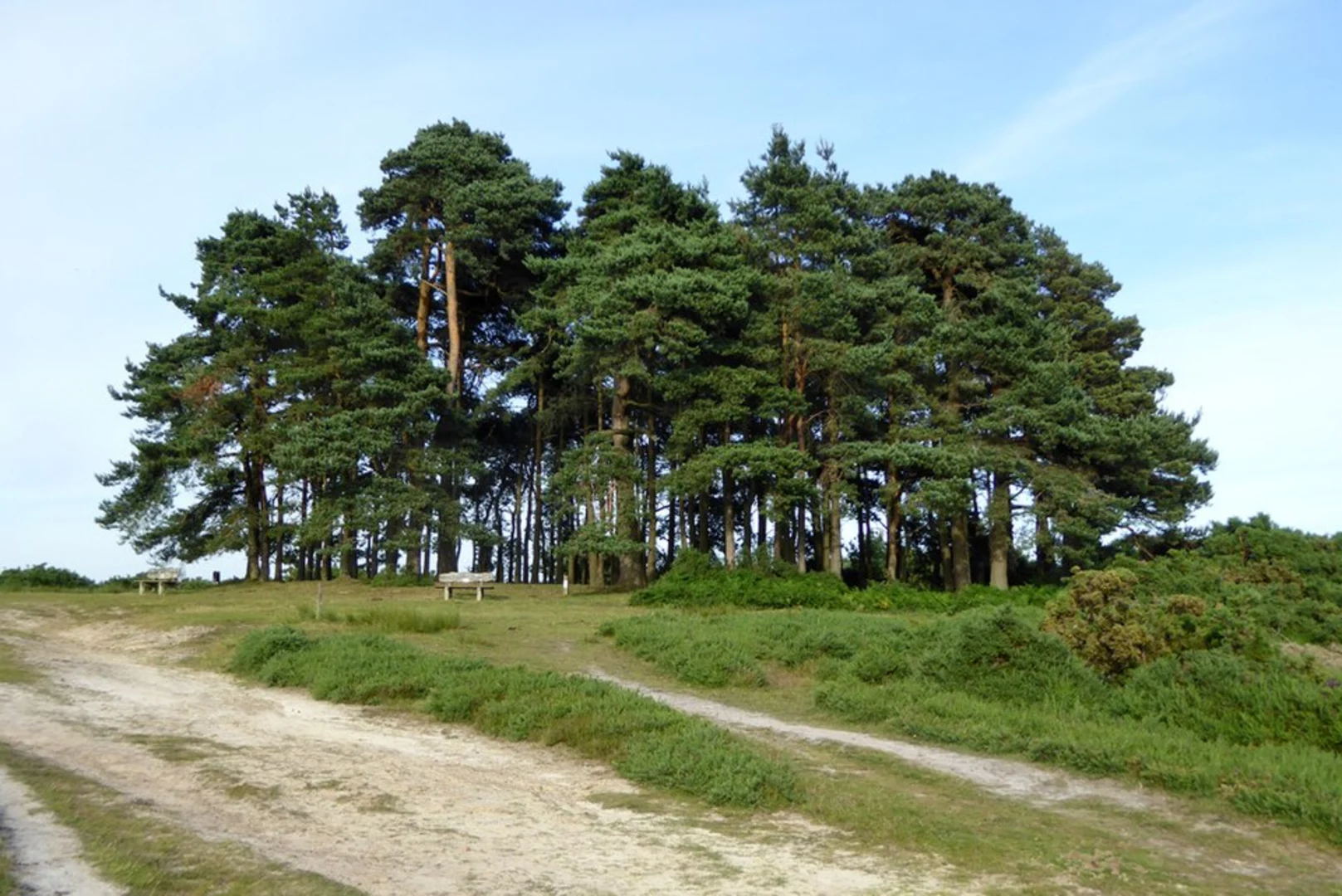 An image depicting the trail Withyham to Buxted Walk and its surrounding area.