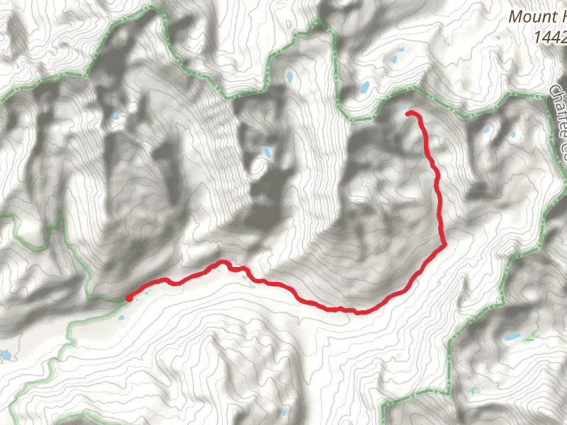 Texas Creek Trail