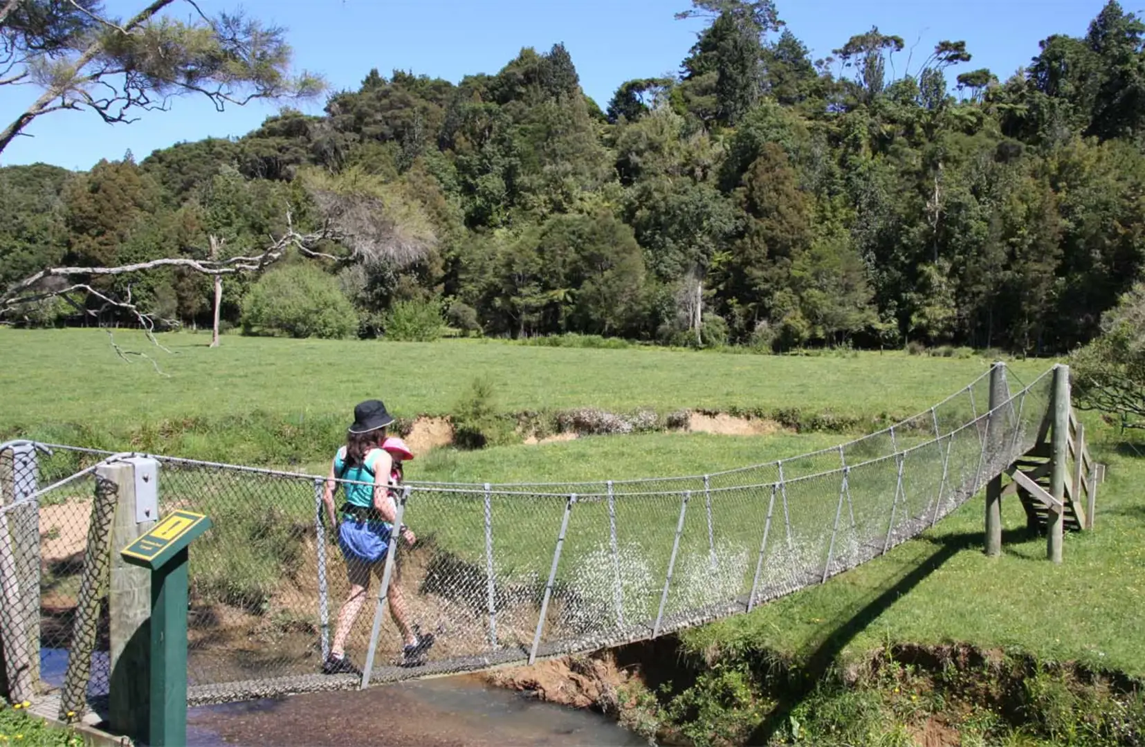 An image depicting the trail Karakariki Track and its surrounding area.