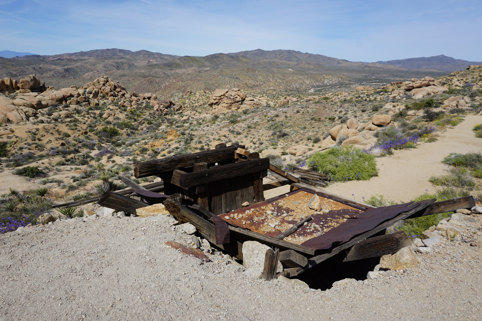An image depicting the trail Cottonwood Springs Nature Loop Trail and its surrounding area.