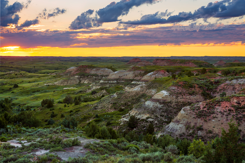 North Petrified Forest Trail