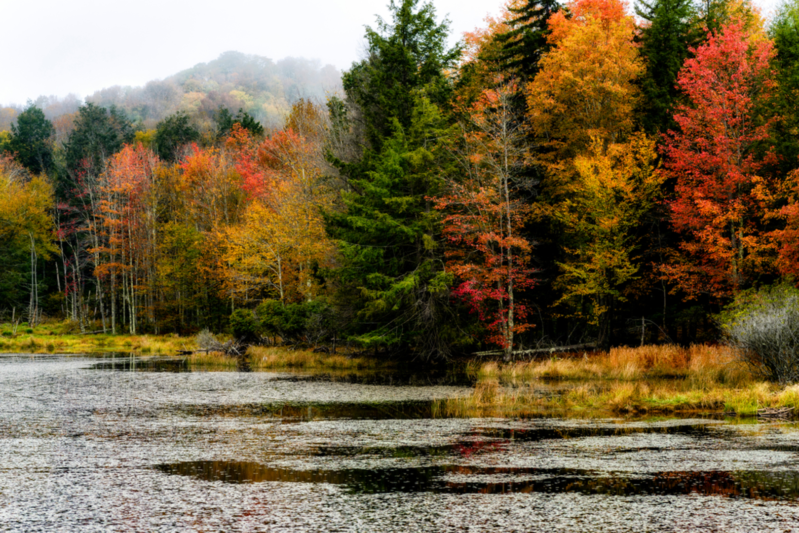An image depicting the trail Red Spruce Knob Trail and its surrounding area.