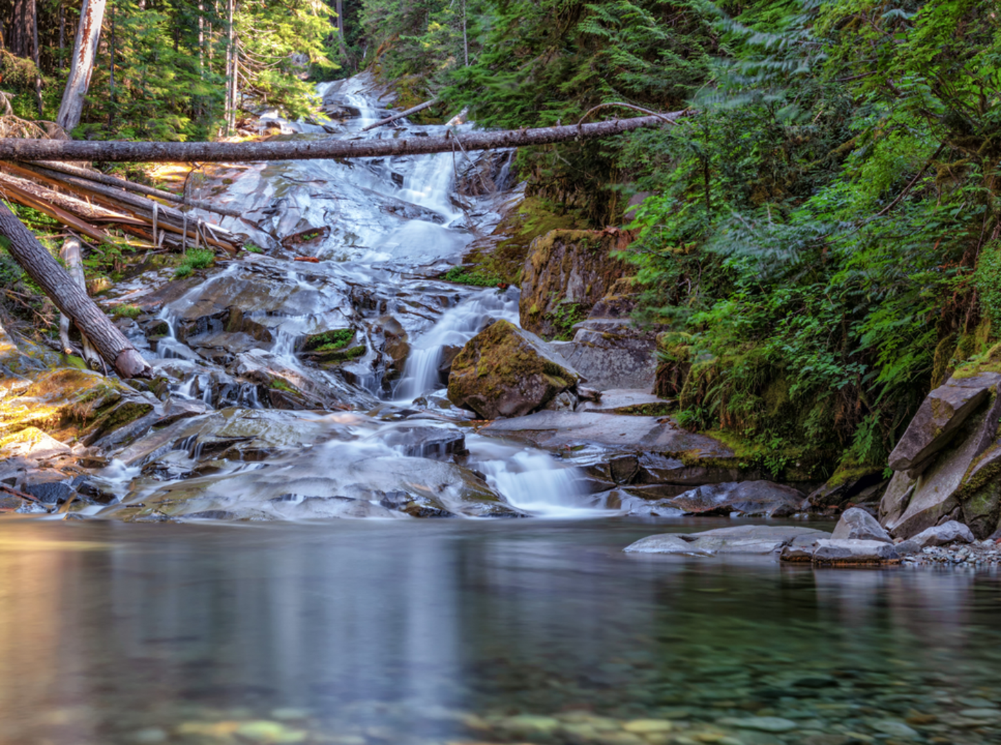 An image depicting the trail Chenuis Falls Trail and its surrounding area.