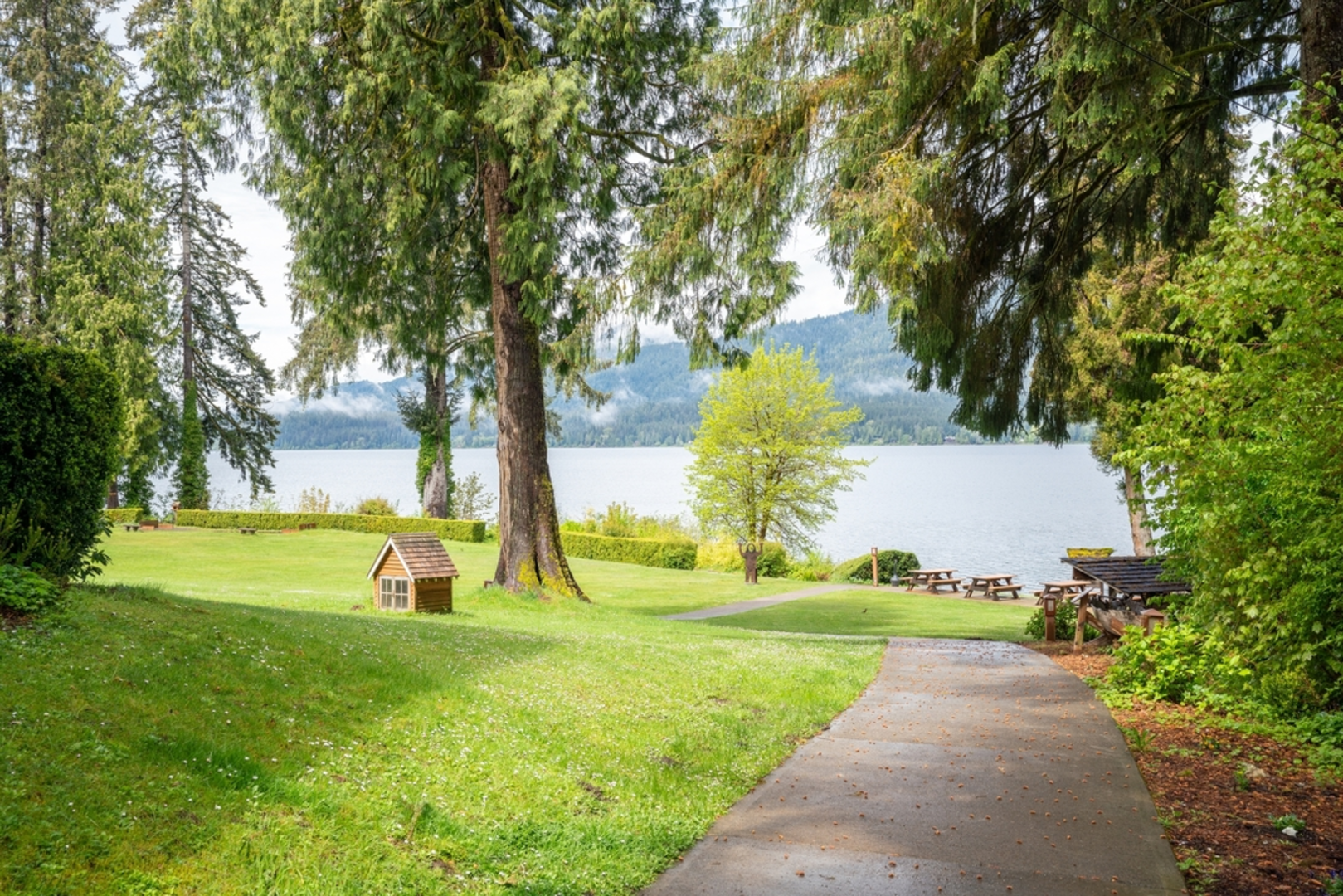 An image depicting the trail Quinault Lake Maintenance Trail and its surrounding area.