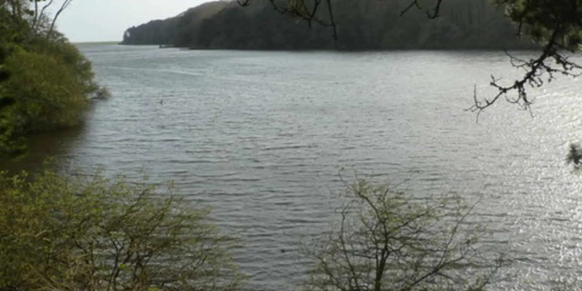 An image depicting the trail The Loe Circular and its surrounding area.