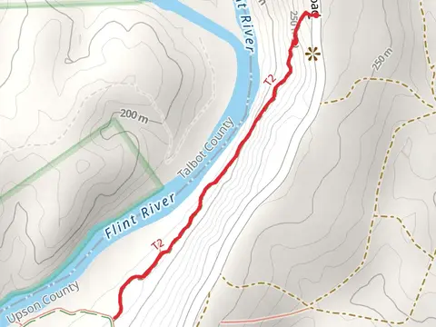 Ribbon Trail