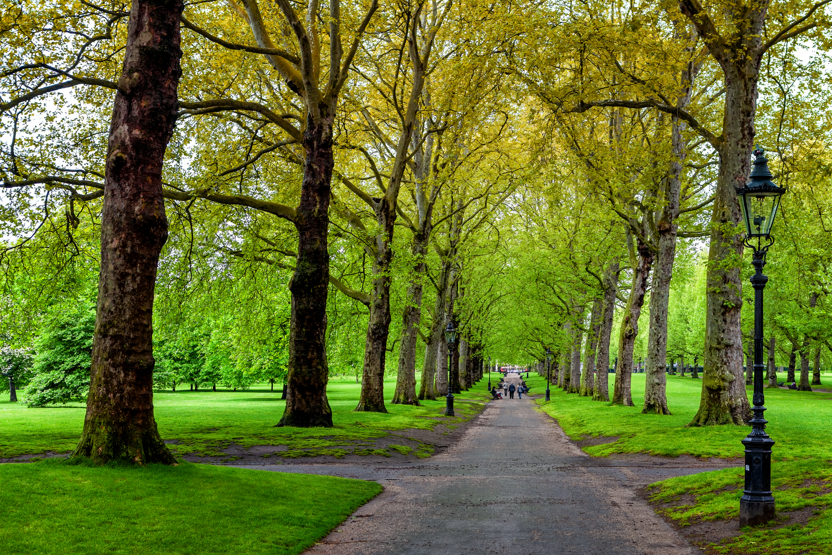 An image depicting the trail London Parks Way and its surrounding area.