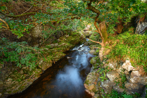Hethpool - Sutherland Bridge and Great Hetha