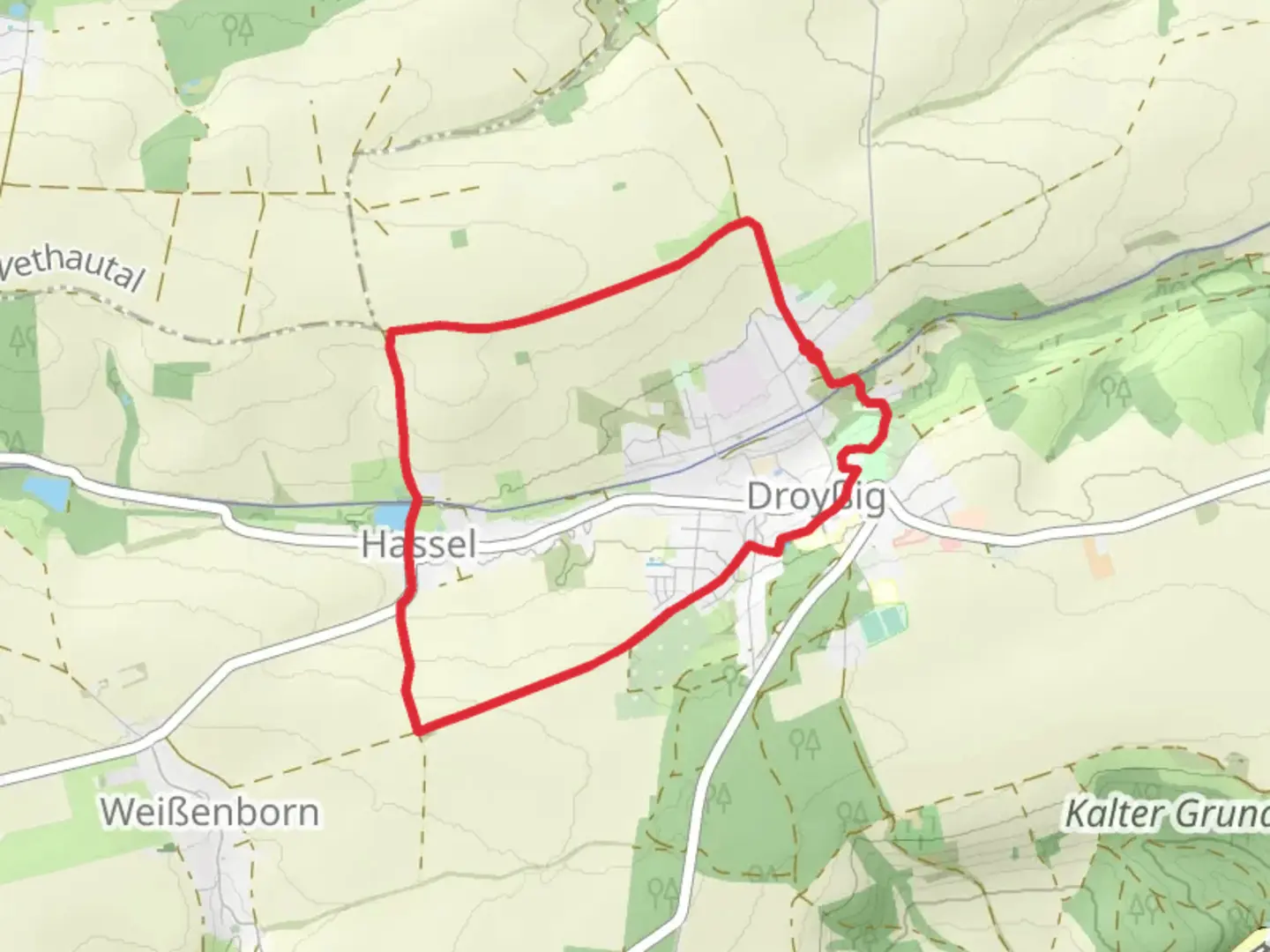 An image depicting the trail Hasselteich via Rundweg Hassel Droyssig and its surrounding area.
