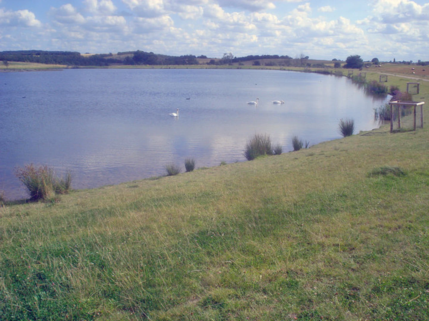 An image depicting the trail Hicks Lodge Trail and its surrounding area.