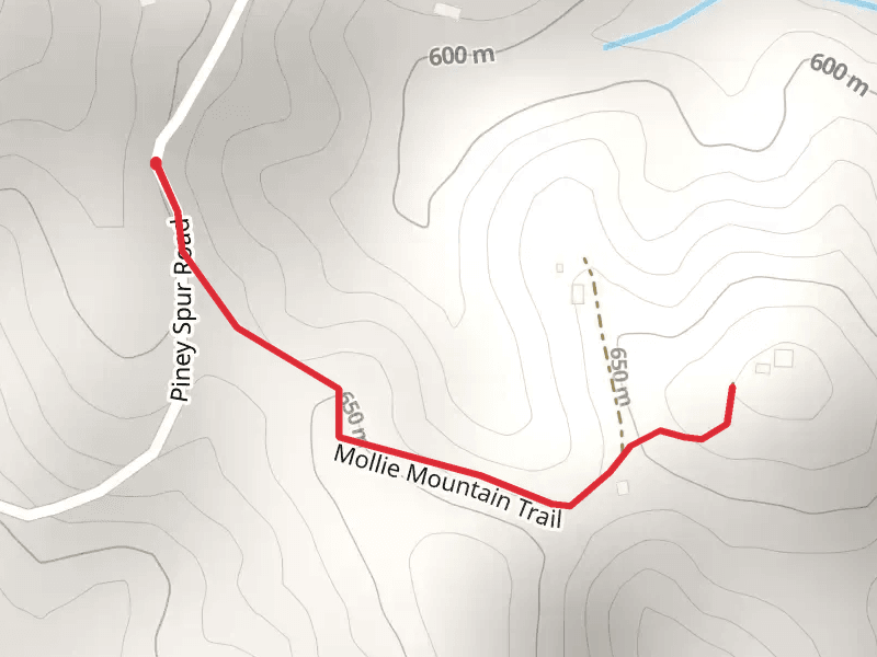 Mollie Mountain Trail