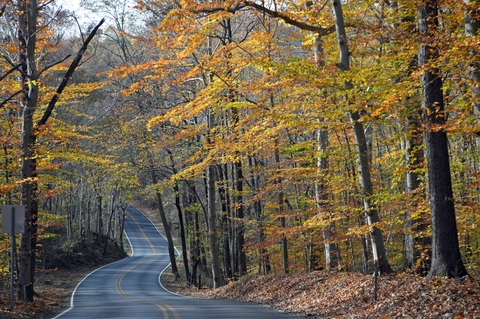 White and Yellow Trail Loop - Ridley Creek State Park