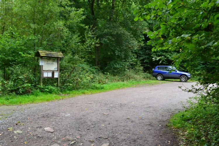 Bentley Wood Loop - West Dean