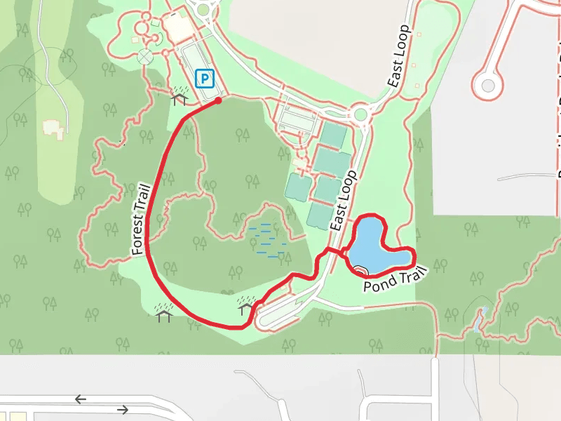 Pond Trail