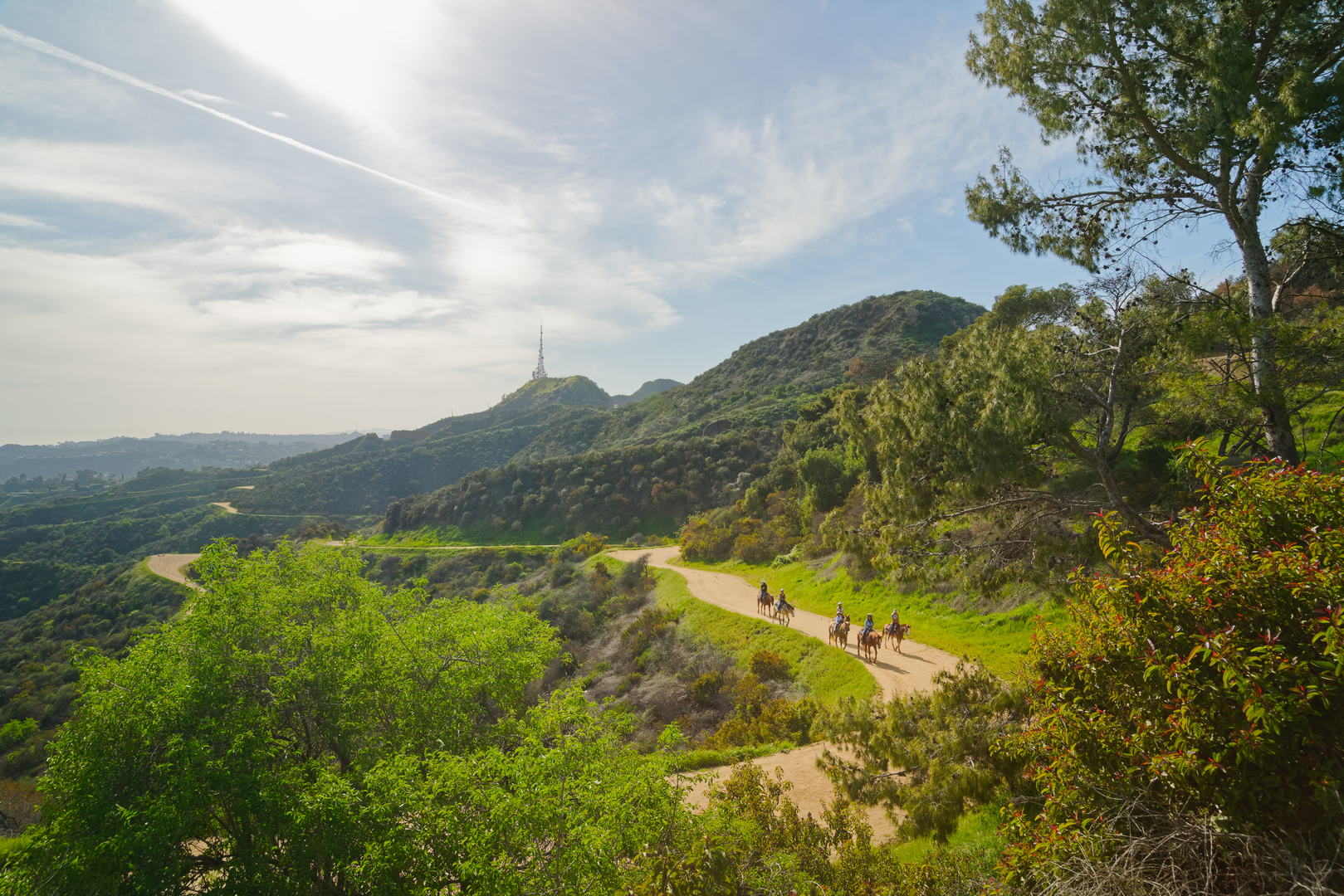 An image depicting the trail Bill Eckert and Mineral Wells Loop Trail and its surrounding area.