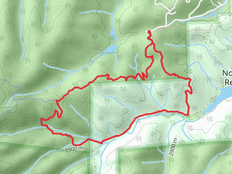 Elder-Fehn Trail - North Catamount Creek
