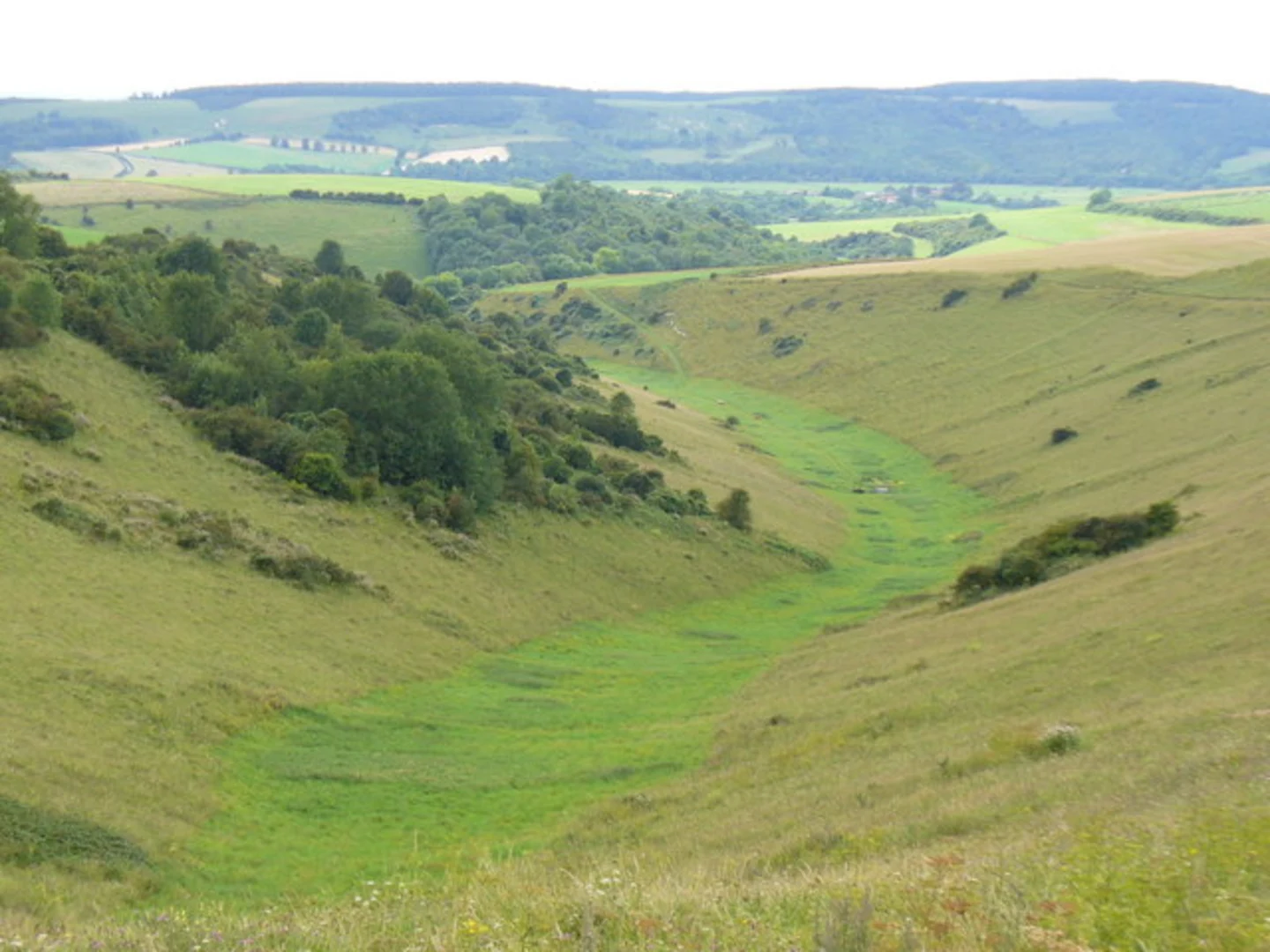 An image depicting the trail Rackham Hill Loop and its surrounding area.