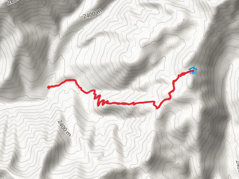 Pioneer Cabin Trail