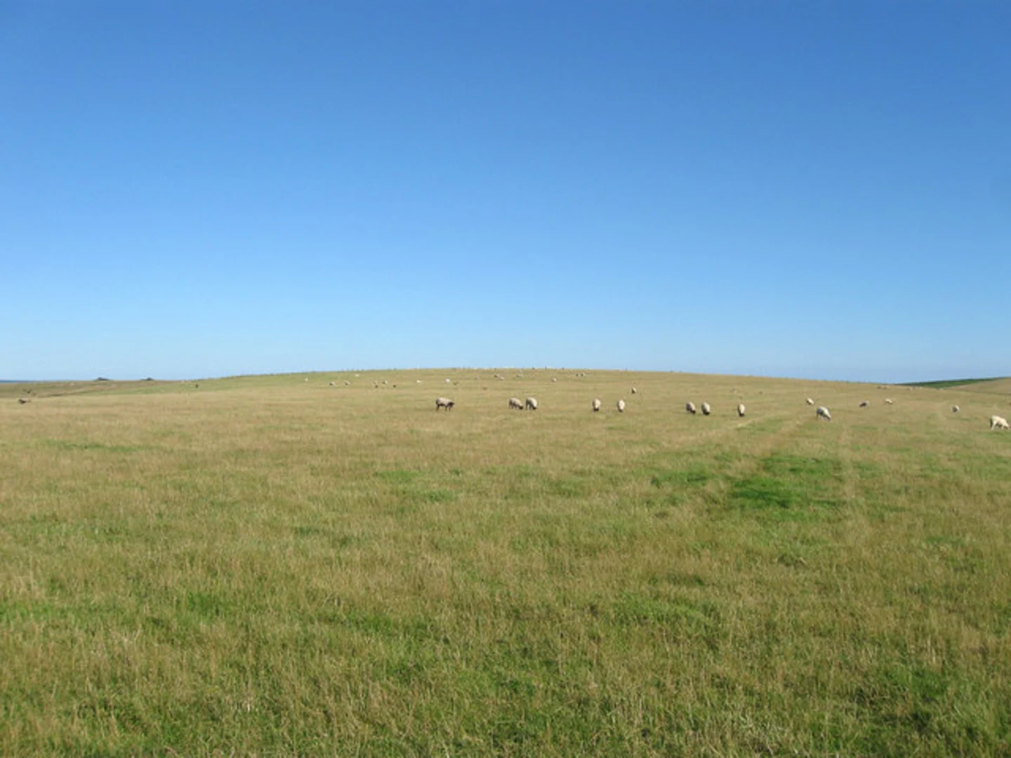 An image depicting the trail Rottingdean Circular Walk and its surrounding area.