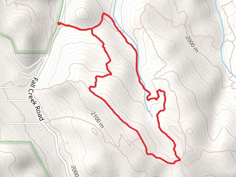 Munger Mountain and Poison Creek Loop Trail