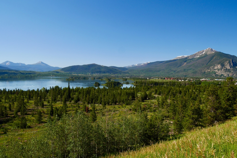 Henry Recen Trail