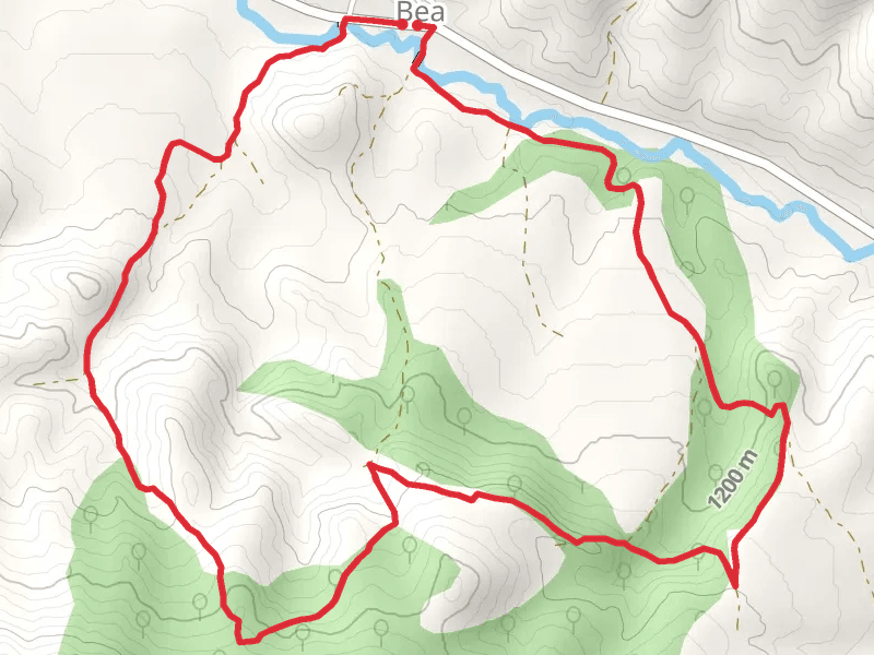 Bea Botanical Route PR TE 79