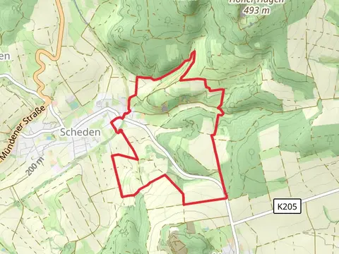 Scheden Loop