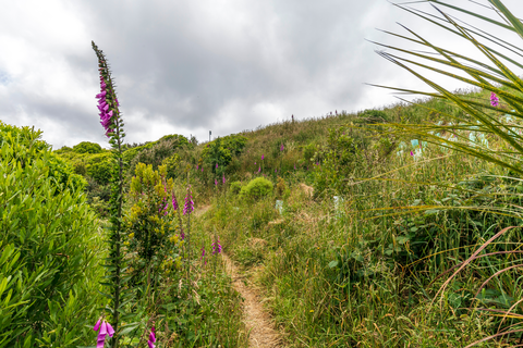 Tip Track to Hawkins Hill