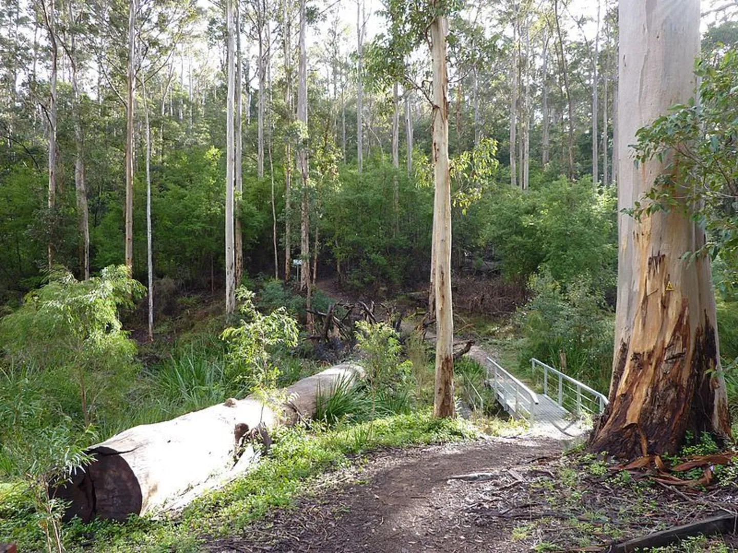An image depicting the trail Pumphill Uphill Walk and its surrounding area.