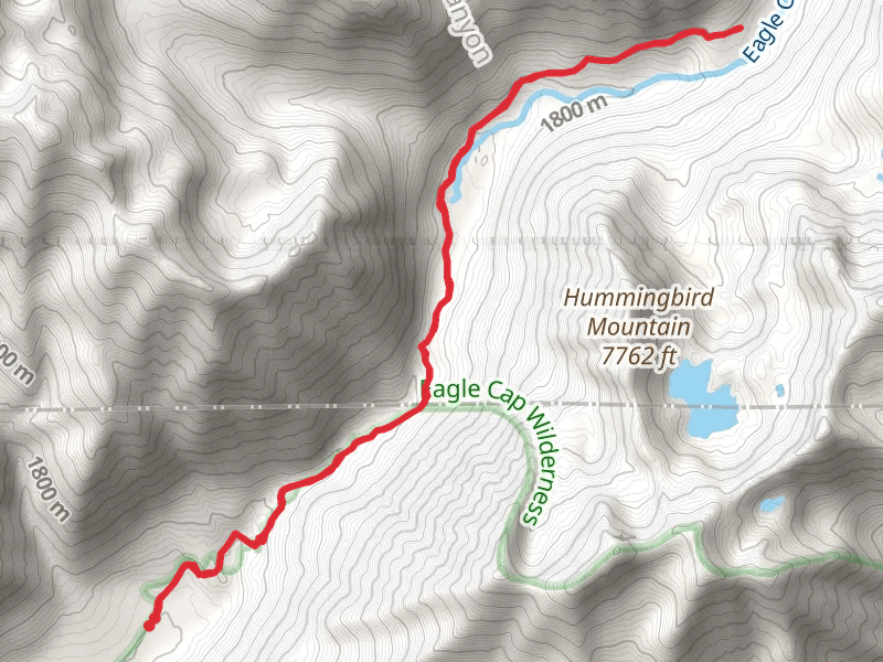 Main Eagle Trail