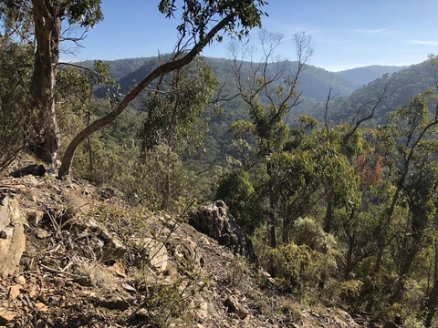 Whiskey on the Rocks Trail