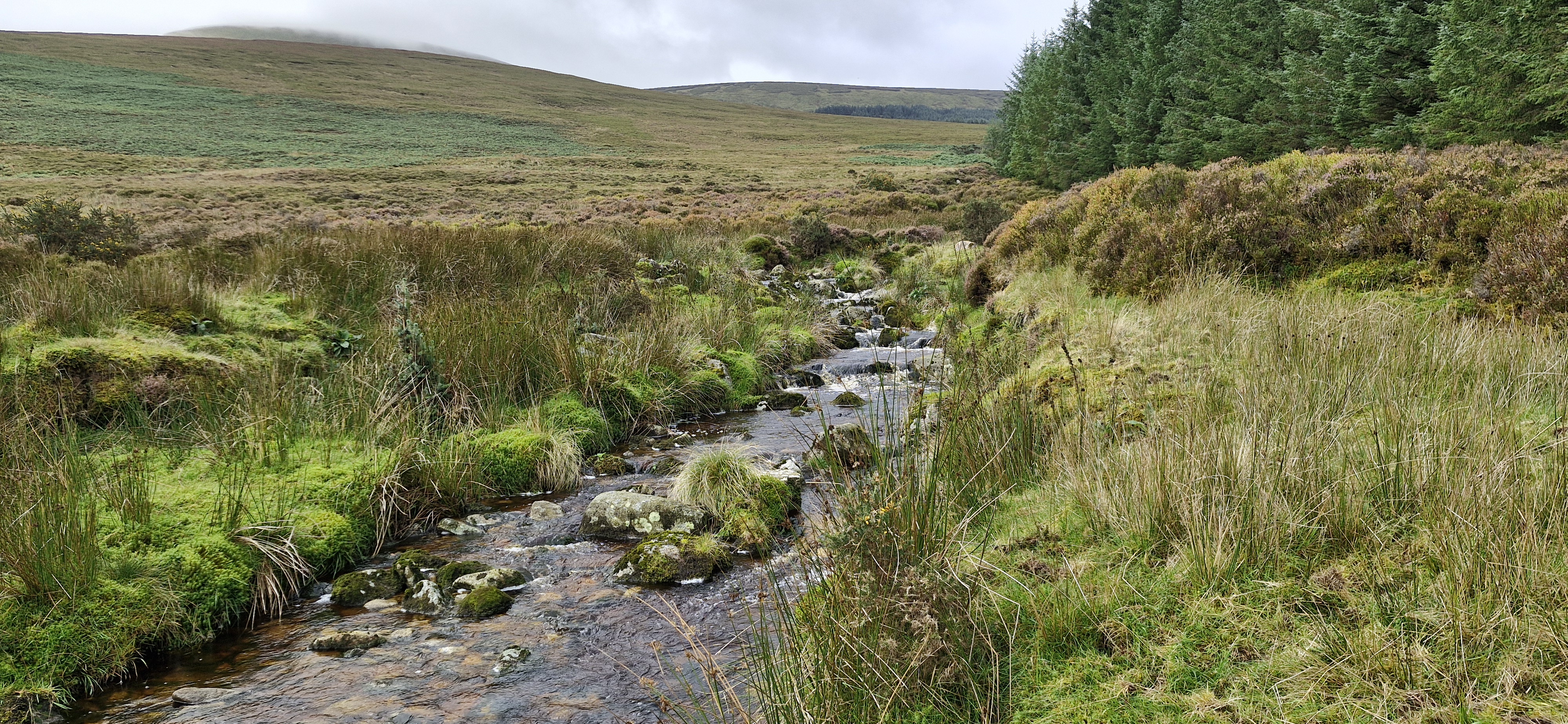 A map preview of the recording Ballynultagh Gap >Cleevaun Lough>Mullaghcleevaun>Mire>Billy Byrne's Gap>Maonvayn>Blackhill> Ballynultagh Gap.