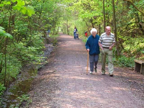 Wynyard Woodland Park Loop