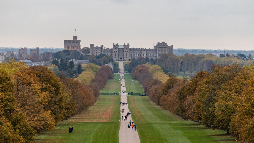 Windsor Castle, River Thames, Bray Lake and Braywick Park Nature Reserve