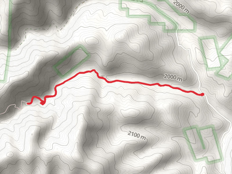 Walk along Mineral Creek
