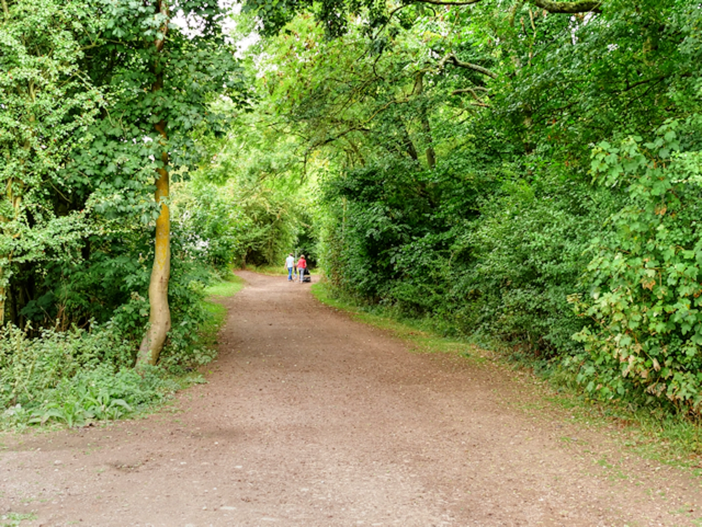 An image depicting the trail Irthlingborough - Little Irchester and Rushden Loop and its surrounding area.