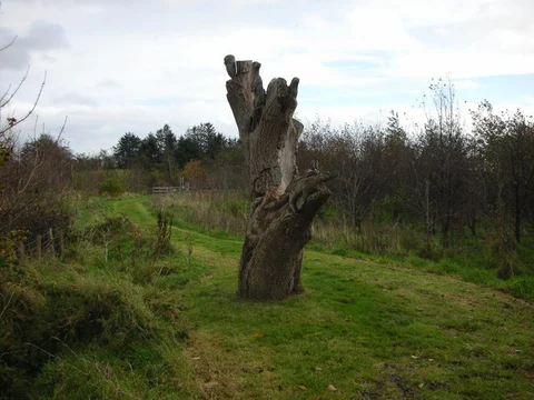 Drumnaph Loch Bran Trail