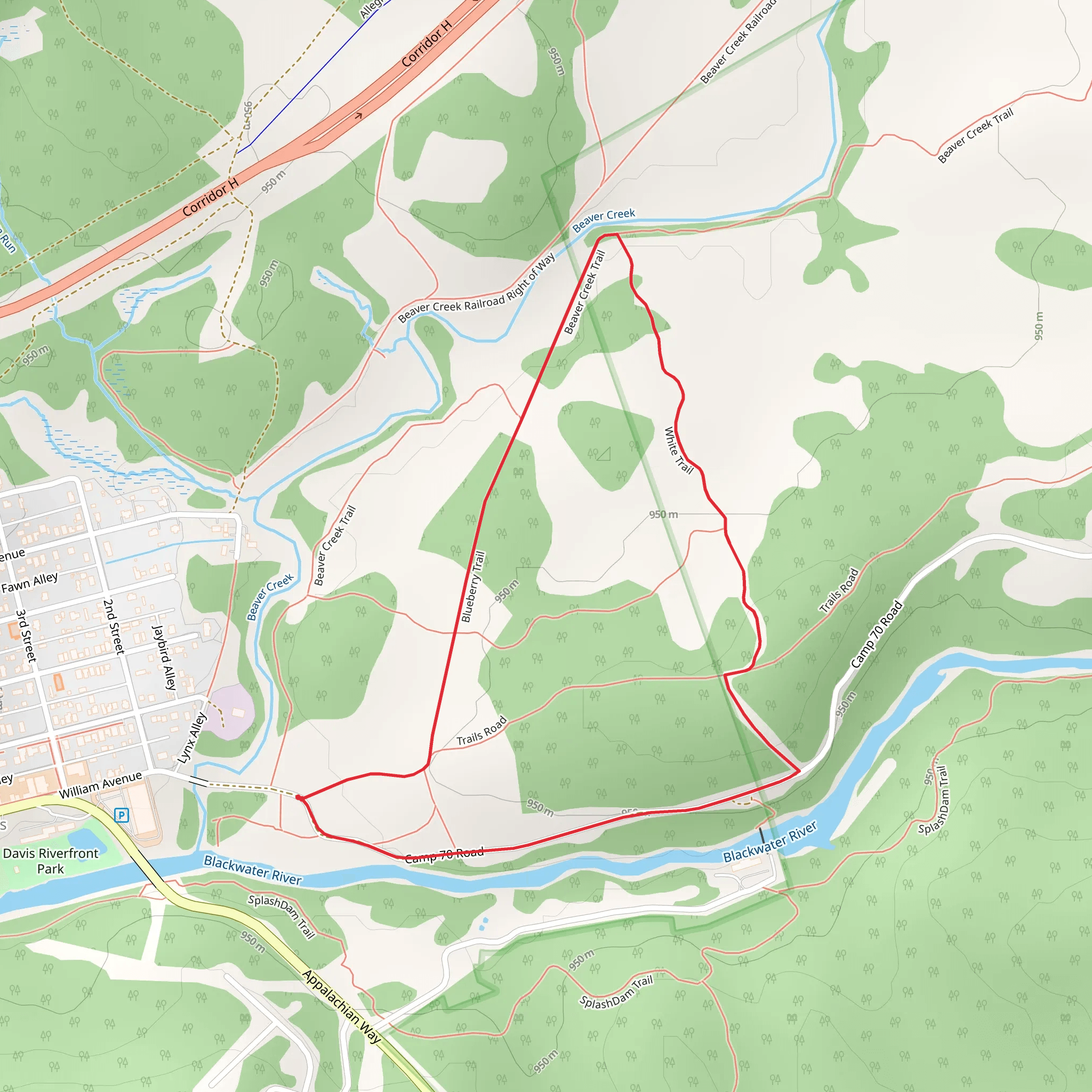 Blueberry Trail and White Trail Loop | Tucker County | West Virginia