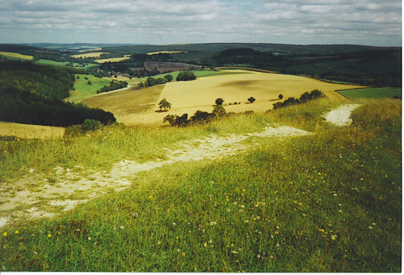 An image depicting the trail Lavant Park Loop and its surrounding area.