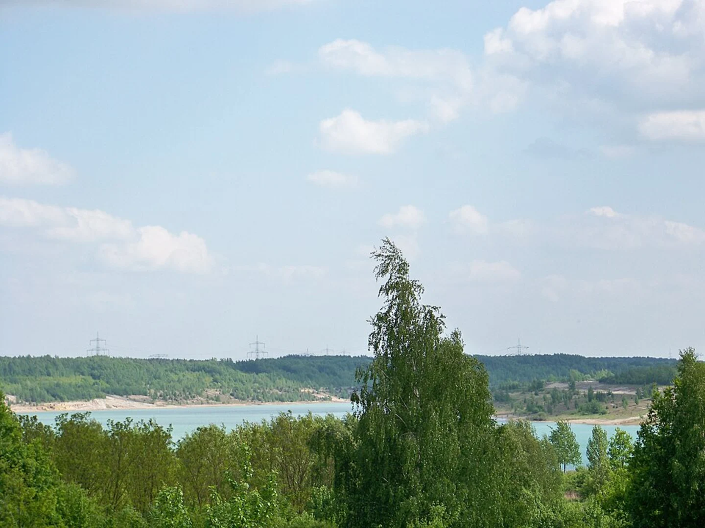 An image depicting the trail Bockwitzer See and Naturschutzgebiet Bockwitz Loop and its surrounding area.