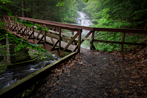 Rensselaerville Falls