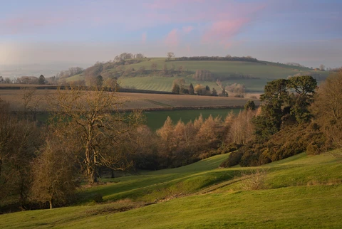 Meon Hill, Houghton and Common Marsh Loop