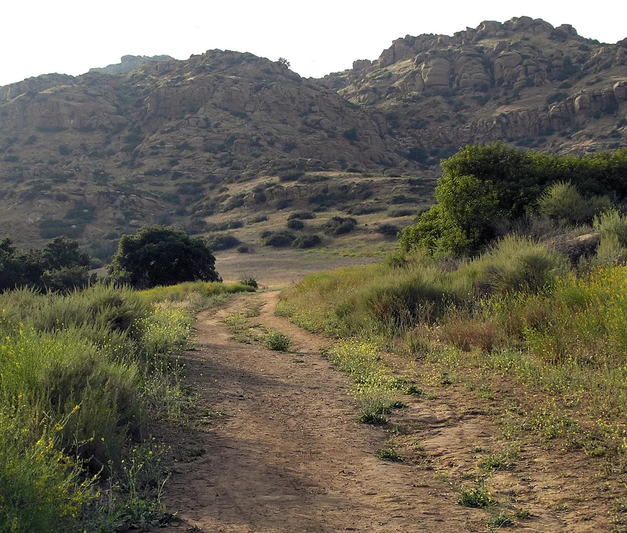 An image depicting the trail El Camino Nuevo and Mattingly Loop Trail and its surrounding area.