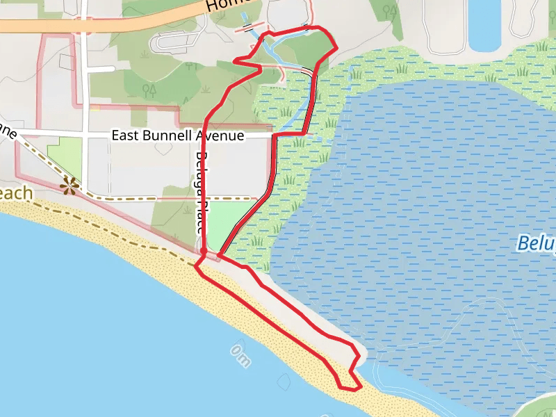 Beluga Slough Trail Loop