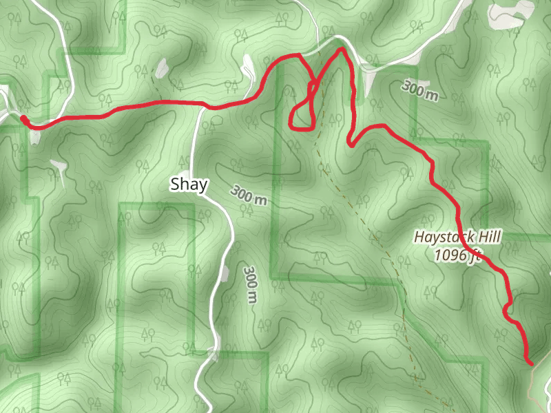 Shay Ridge Trail