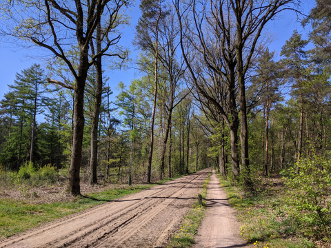 Kasteel Ruurlo, Jachtweg and Karsendiek Loop
