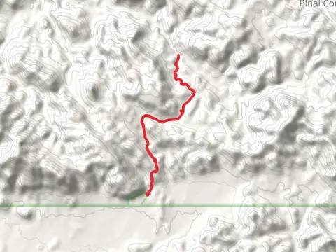 Bluff Spring and Dutchman Trail
